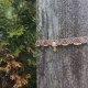 Delikatny choker kwarc z tumalinem