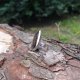 Purpurowa kropla - pierścionek regulowany