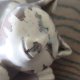 Dagmar Hampel Wiedeń lata 70-te  ceramiczna figurka  śpiący kot  mid century modern minimalizm