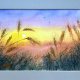 Kłosy pszenicy  Original Akwarela A4