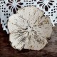 Ceramiczna podstawka kwiat
