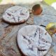 Ceramiczne kolczyki z motywem rozgwiazdy - Surowe Boho (Mosiądz &Ceramika )