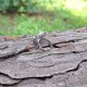 Agat dendrytowy - pierścionek regulowany