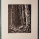 Las, Bór, Drzewa - Linoryt, ilustracja, grafika, obrazek, obraz, sztuka, plakat, dekoracje