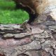 Nigdy nie było - pierścionek regulowany