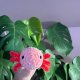 Axolotl seledynowy na szydełku urocza salamandra na szydełku rękodzieło na szydełku polski produkt szydełkowa praca koralowy kolor