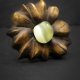 Broszka - lipa i żółty uleksyt – biżuteria z duszą ziemi, pirografia, handmade, prezent Unique Jewelry Design; Luxury Wooden Jewellery