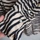 Beżowa koszula w zwierzęcy wzór zebra jedwabna duńskiej marki premium By Malene Birger jedwab z wiskozą 42