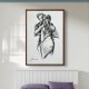 Lady - 50x70,