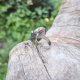Kamień księżycowy - pierścionek regulowany