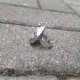 Czaroit - pierścionek regulowany