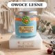 Świeca sojowa owoce leśne