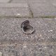 Spojrzenie w niebo - pierścionek regulowany