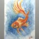 Złota rybka Original Akwarela A4