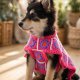 Sweter poncho dla psa "Kalejdoskop" – ręcznie szydełkowane ubranko w kwiaty