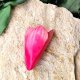 Broszka Magnolia 1
