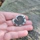 Stary amonit - broszka