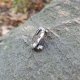 Stary amonit - broszka
