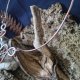 Naszyjnik miedziany z kamieniami naturalnymi