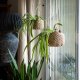 Wisząca osłonka ze sznurka jutowego boho na doniczkę handmade