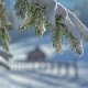 Naturalna świeczka sojowa Jodła/White Christmas 120 ml