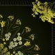 Sierpniowa łąka - mandala botaniczna