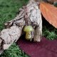 Wisiorek grzybek chalcedon zielony las jesień rękodzieło piękny