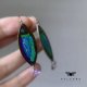 Kolczyki Fish with Rainbow Tail