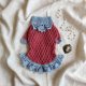 Sukienka dla małego psa "Mała Księżna" od Foxy Knit – wiktorianski dramatyzm i bezczelny luksus