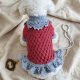 Sukienka dla małego psa "Mała Księżna" od Foxy Knit – wiktorianski dramatyzm i bezczelny luksus