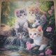 DUŻA MATA DO SUSZENIA NACZYŃ KOTKI 60 X 60 CM