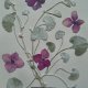 Kwiaty w bordowym wazonie – obraz z suszonych roślin 21 × 30 cm