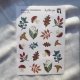 Naklejki leśne - arkusz 20 botanicznych naklejek do journalingu i scrapbookingu, kolaż papierowy A6