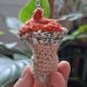Szydełkowy breloczek grzybek – mały rudy grzyb w stylu boho