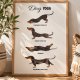 Dog Yoga – autorski plakat z jamnikiem A3
