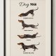 Dog Yoga – autorski plakat z jamnikiem A3