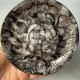 Talerzyk Marmurek Włocławek porcelana Vintage (5/5)