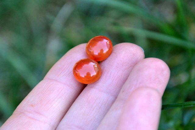 czerwono pomarańczowe kropelki