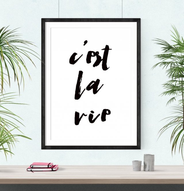 Plakat c'est la vie - A3