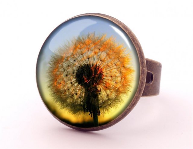 Dmuchawiec -  pierścionek regulowany - Egginegg