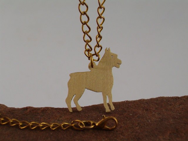 Bokser 1- pies nr.21