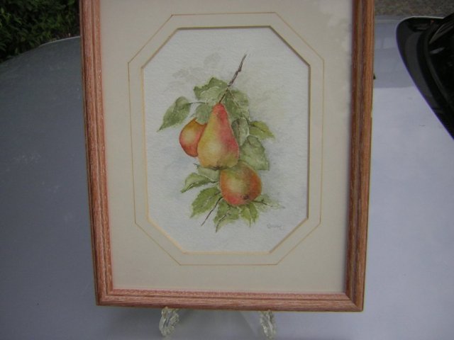 Gruszki w Akwareli ręcznie malowany obrazek sygnowany apetyczny oprawiony