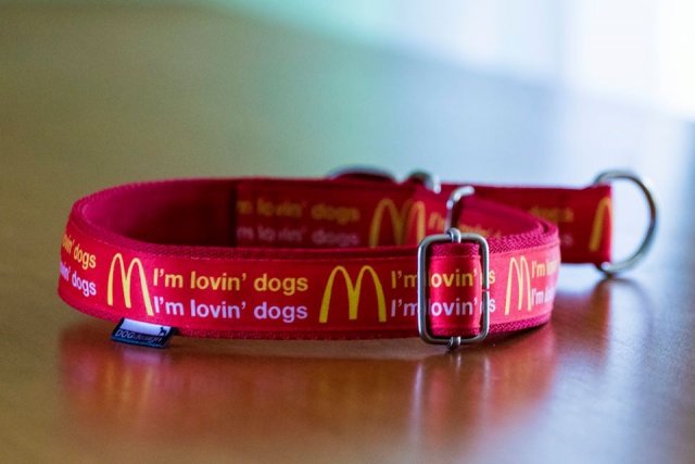 Obroża I'm lovin' dogs, różne rozmiary