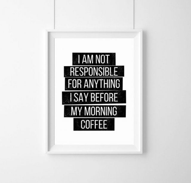 PLAKAT I am not responsible for anything ....A3
