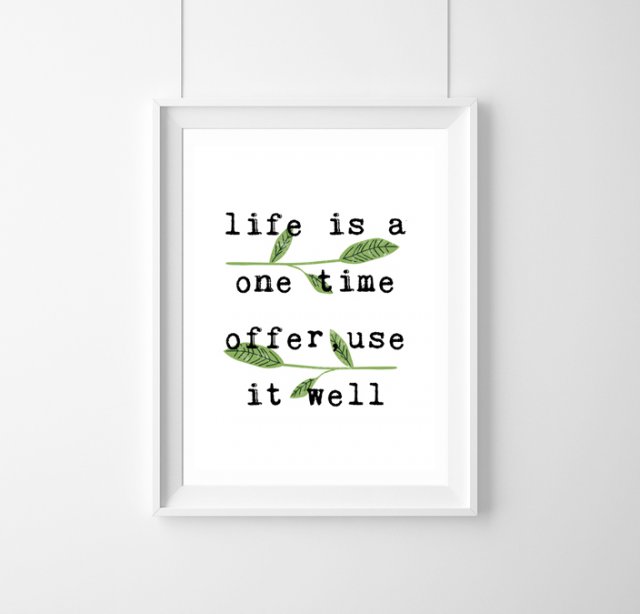 Plakat life is a one time offer,use it well - A3