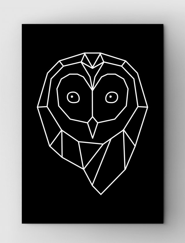Owl life