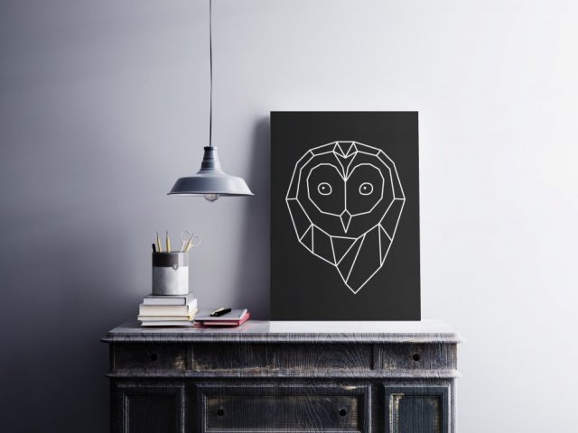 Owl life