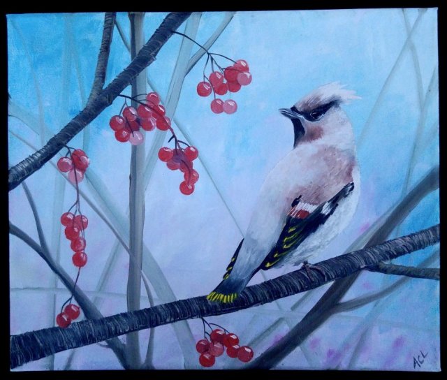 SÓJKA ❀ڿڰۣ❀ Obraz olejny ❀ڿڰۣ❀ żywe kolory ❀ڿڰۣ❀ RĘCZNIE MALOWANY ❀ڿڰۣ❀ Sygnowany
