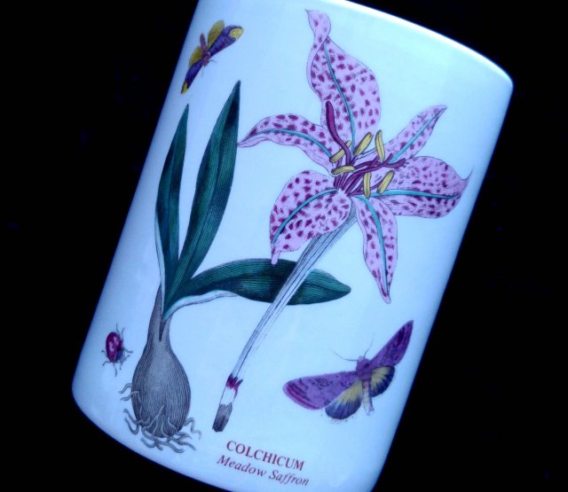 Perełka kolekcjonerska! ❀ڿڰۣ❀ PORTMEIRION BOTANIC GARDEN ❀ڿڰۣ❀ COLCHICUM - Meadow Saffron ❀ڿڰۣ❀