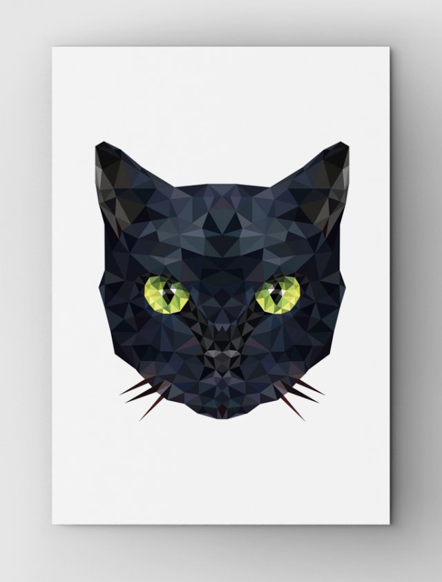 Black Cat